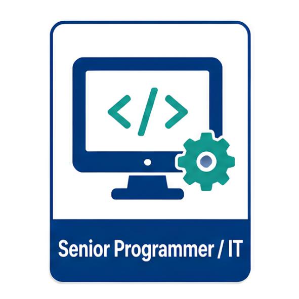 Programmer / IT